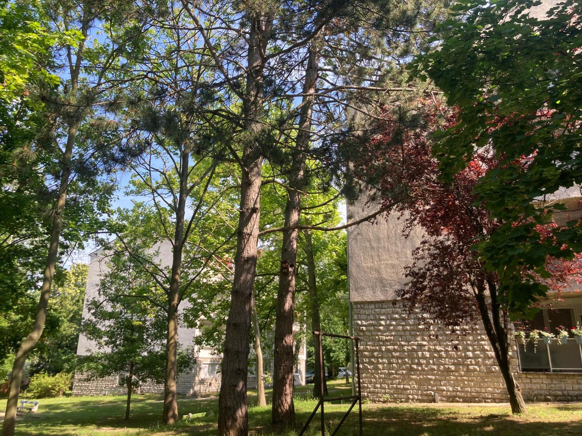 Oazis Apartman Veszprém Buitenkant foto