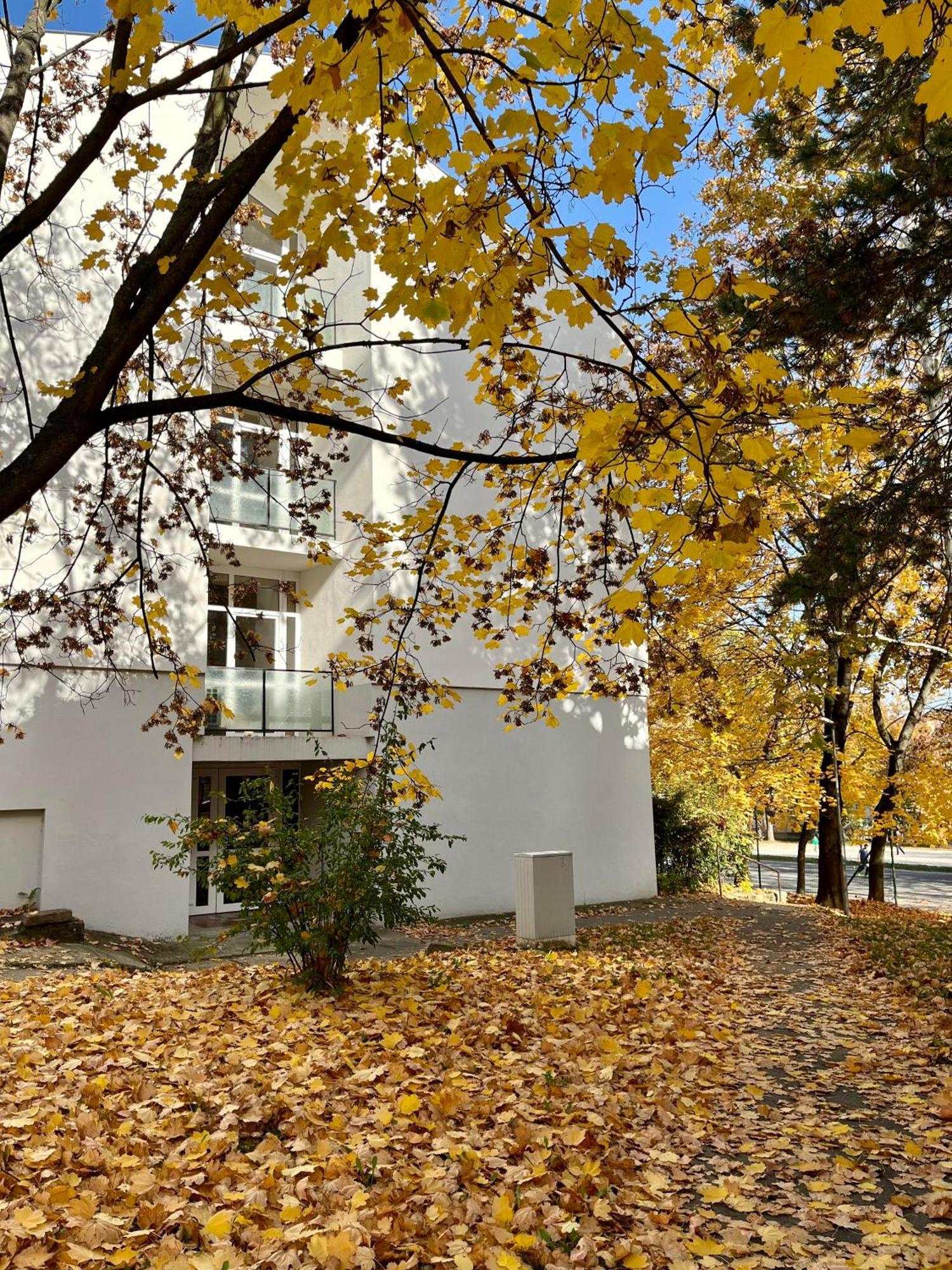 Oazis Apartman Veszprém Buitenkant foto